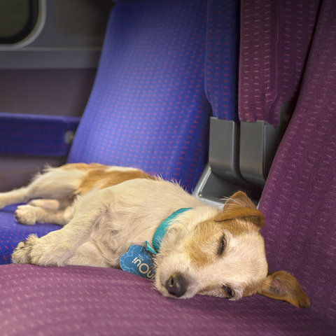 TGV Inoui, Bobby