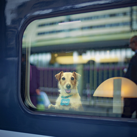 TGV Inoui, Bobby